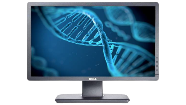 Dell 24” P2412HB Monitor LCD