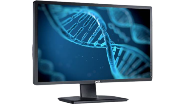 Dell 24” P2412HB Monitor LCD - Image 2